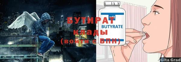 индика Новодвинск