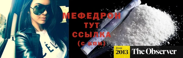 индика Новодвинск
