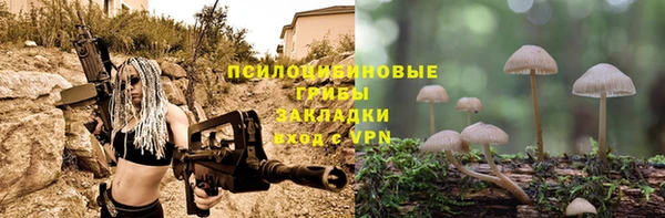 МДМА Бикин